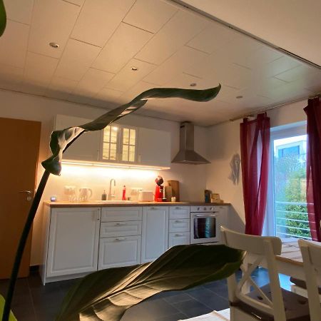 Moderne Ferienwohnung Seeblick Freudenberg  Luaran gambar