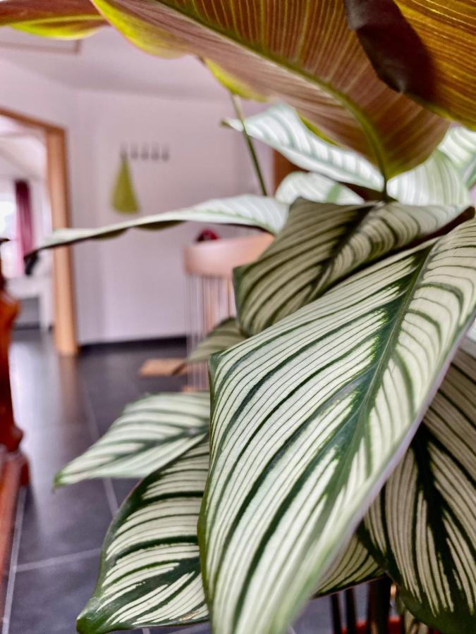 Moderne Ferienwohnung Seeblick Freudenberg  Luaran gambar